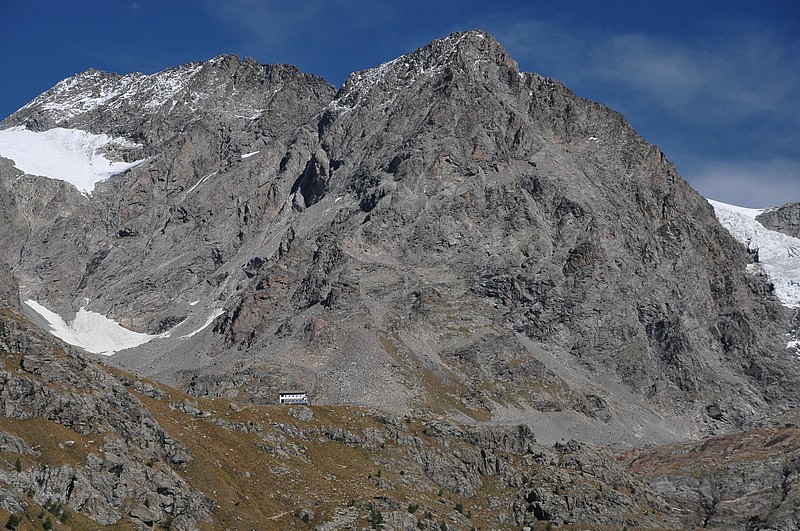 DSC_2313.JPG