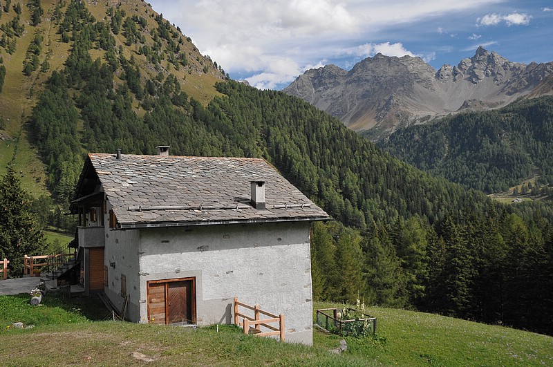 DSC_2484.JPG