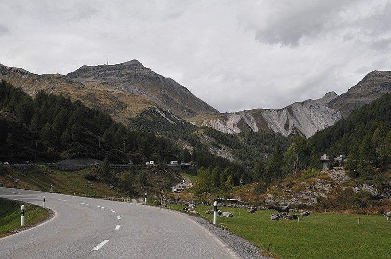 DSC_2490.JPG