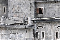 DSC_1925CS.jpg