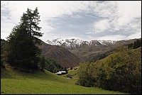 DSC_1949.JPG