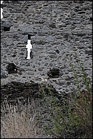 DSC_2175.JPG