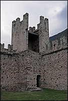 DSC_2185DG.jpg