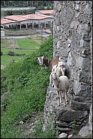 DSC_2189.JPG