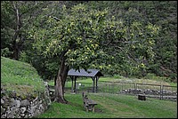 DSC_2194G.jpg