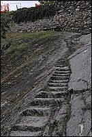 DSC_2197C.jpg