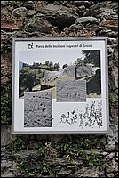DSC_2223.JPG