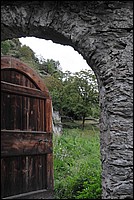 DSC_2227.JPG