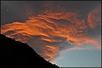 DSC_2248G.jpg