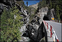 DSC_2370.JPG