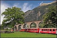 DSC_2406.JPG