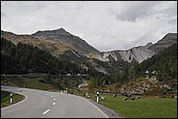 DSC_2490.JPG