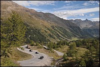DSC_2492.JPG