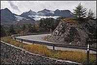 DSC_2498.JPG