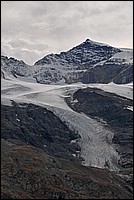 DSC_2520G.jpg