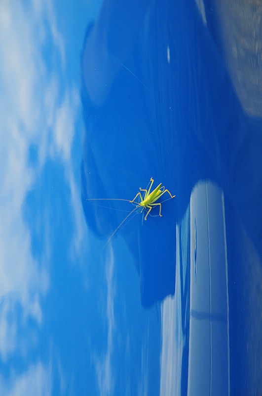 DSC_9429.JPG