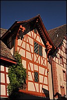 DSC_9517.JPG