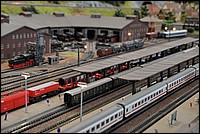 DSC_4426.JPG