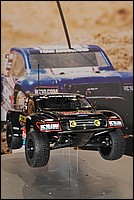 DSC_4492E.jpg