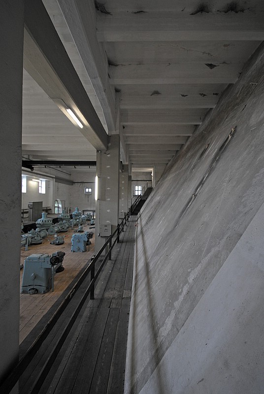 DSC_1649DG.jpg