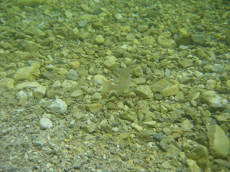 WBT_04.JPG