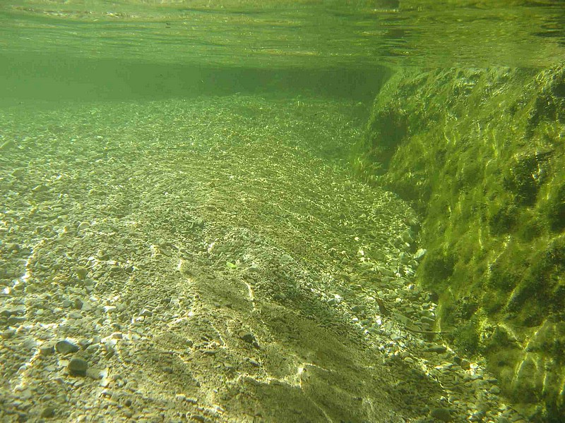 WBT_12.JPG