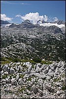 DSC_2935.JPG