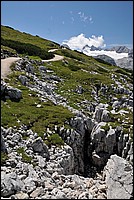 DSC_2945.JPG