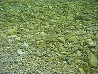 WBT_04.JPG