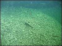 WBT_24.JPG
