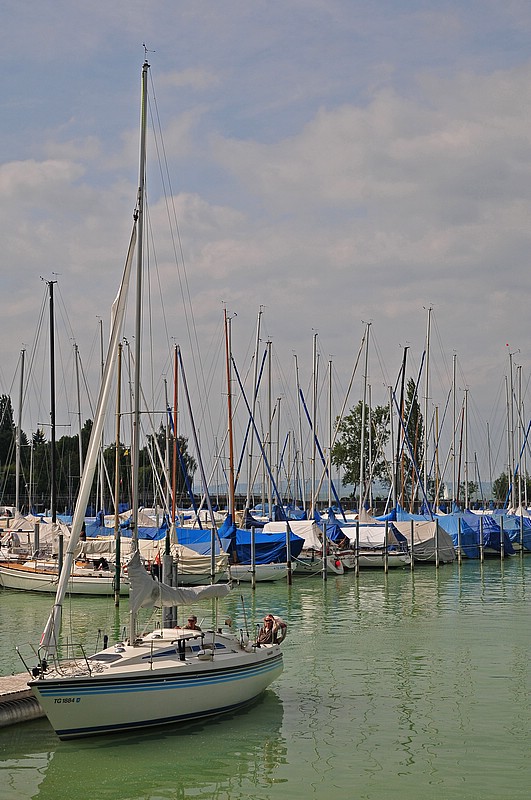 DSC_2099G.jpg