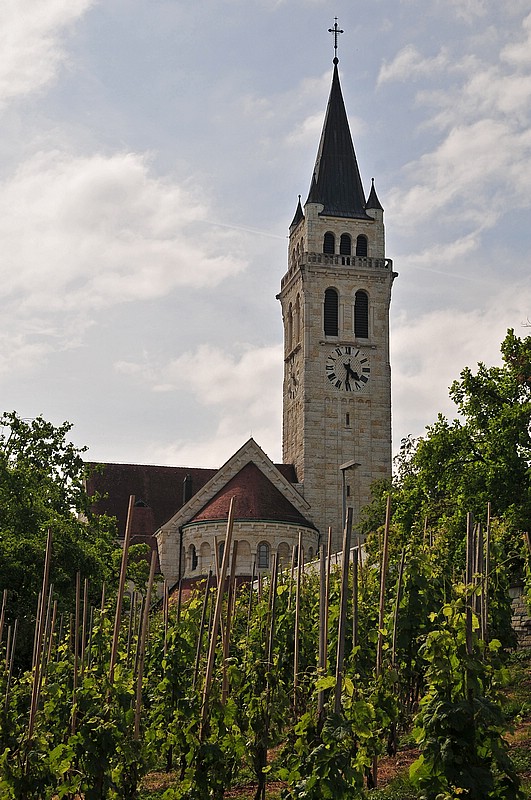 DSC_2116DG.jpg