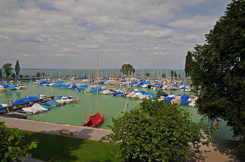 DSC_2117G.jpg