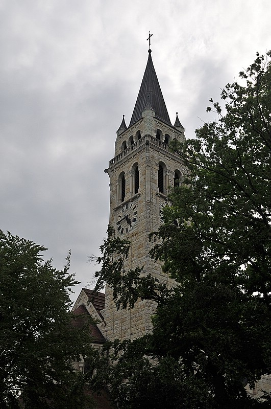 DSC_2133G.jpg