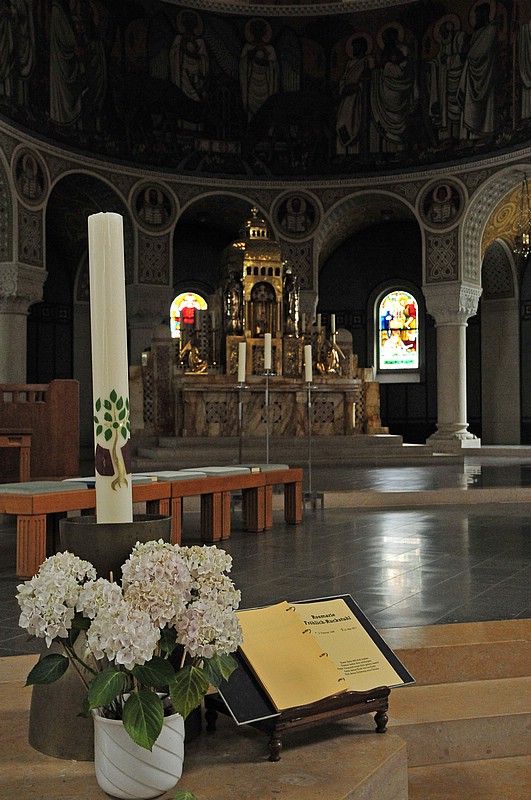 DSC_2186G.jpg