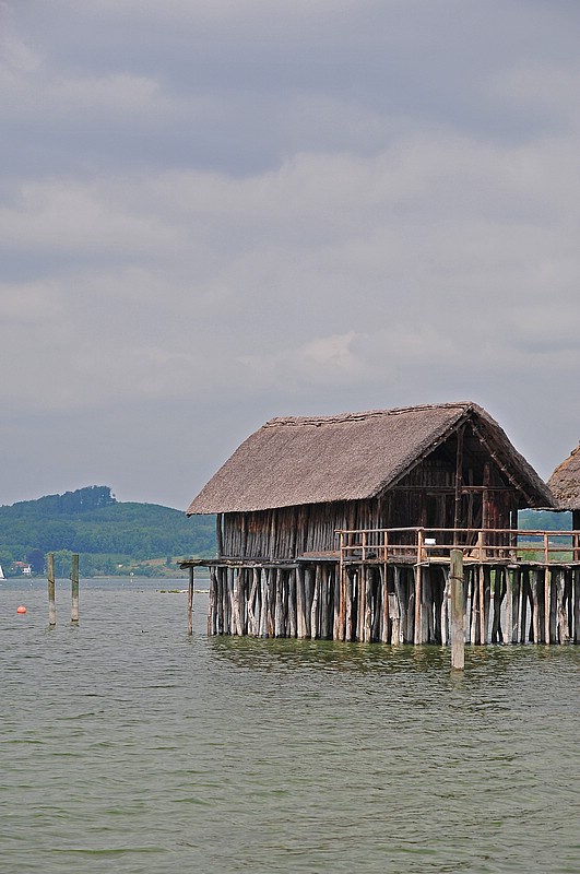 DSC_2326G.jpg