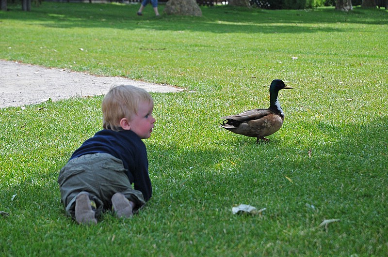 DSC_2333G.jpg