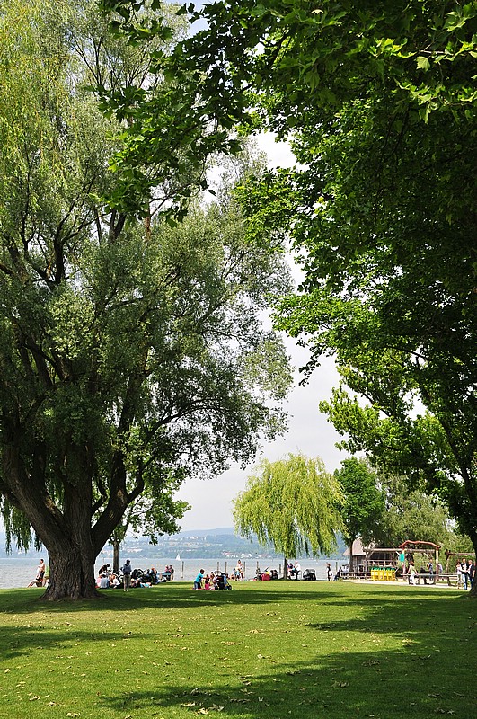 DSC_2335.JPG