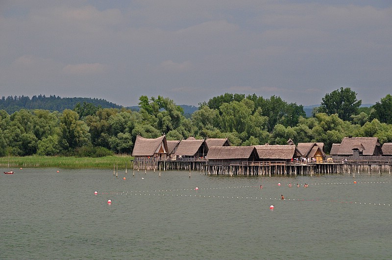 DSC_2366G.jpg