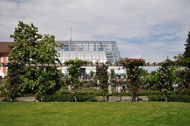 DSC_2386.JPG