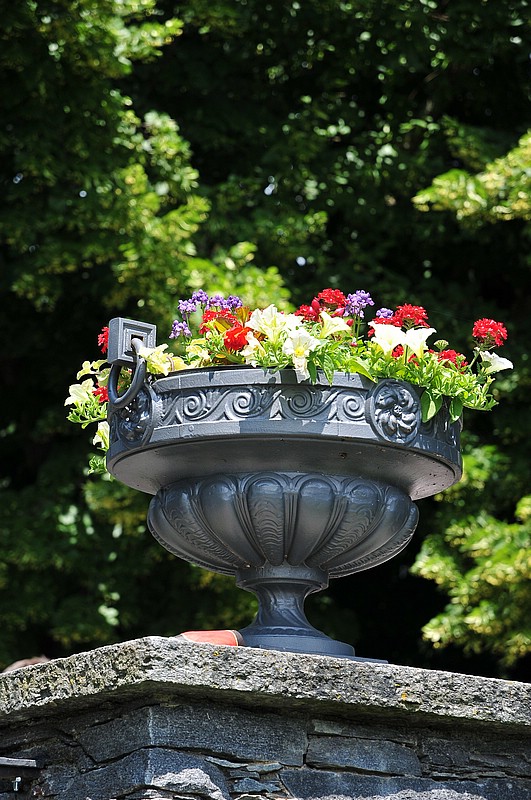DSC_2399D.jpg