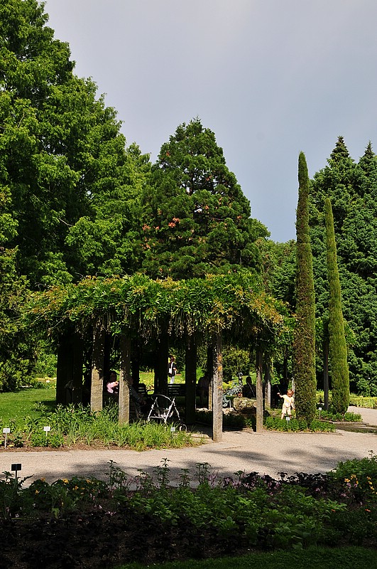 DSC_2494.JPG