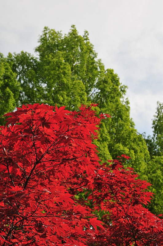 DSC_2496.JPG