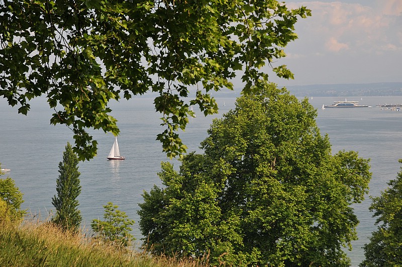 DSC_2540.JPG