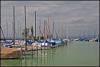 DSC_2103G.jpg