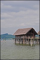 DSC_2326G.jpg