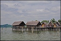DSC_2356G.jpg