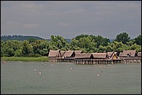 DSC_2366G.jpg