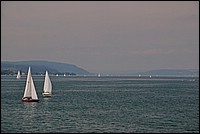 DSC_2373G.jpg