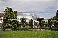 DSC_2386.JPG